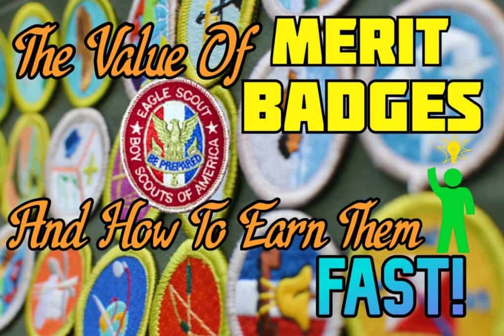 Different Types of  Badges and How to Earn Them